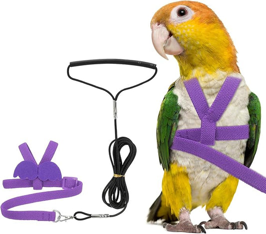 Bird Harness Leash, Adjustable Pet Parrot Bird Harness and Leash Lightweight Anti-Bite Flight Training Rope with Cute Wing, (Purple, S), Intended for Parrots/Pigeons/Budgies
