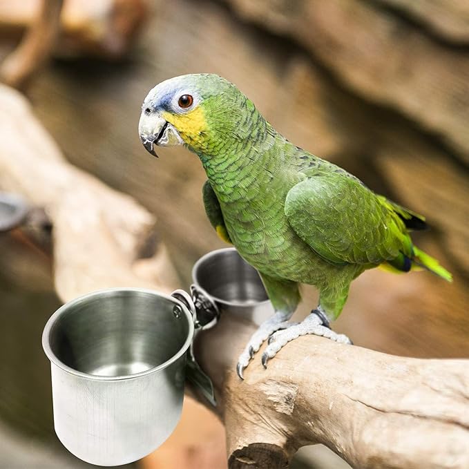 Bird Water Feeder Dishes, Stainless Steel Birdcage Bowls with Clamp Stand, Hanging Parrot Food Cups for Cage Coop, Silver