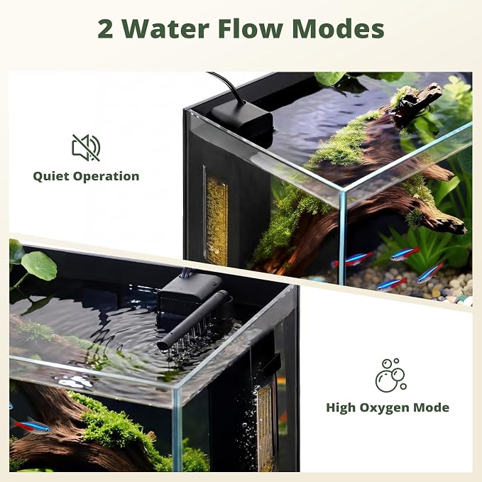 2.5 Gallon Small Fish Tank, Desktop Nano Aquarium with Filter | Ultra-Clear Glass Starter Kit with Lid, LED Light, Gravel and Rocks, Perfect for Betta, Shrimp and Live Plants