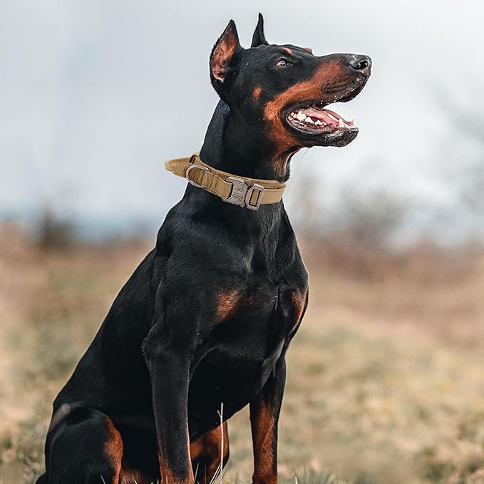 Tactical Dog Collar with Handle - Military Adjustable Dog Training Collar Soft Nylon and Heavy Duty Metal Buckle for Medium Large Dogs - with Patch (Brown, Large)