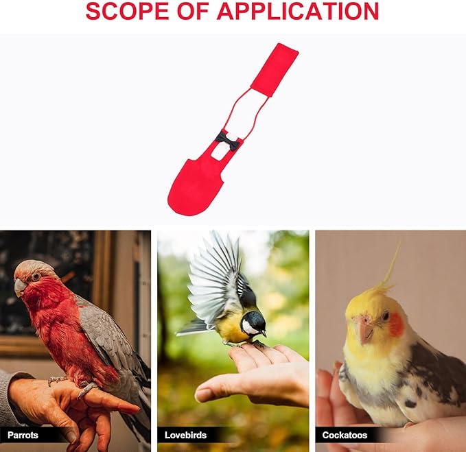BESTonZON Parrot Diaper Bird Flight Suit Creative Pet Bird Diaper Clothing Small Size Red Pet Supply