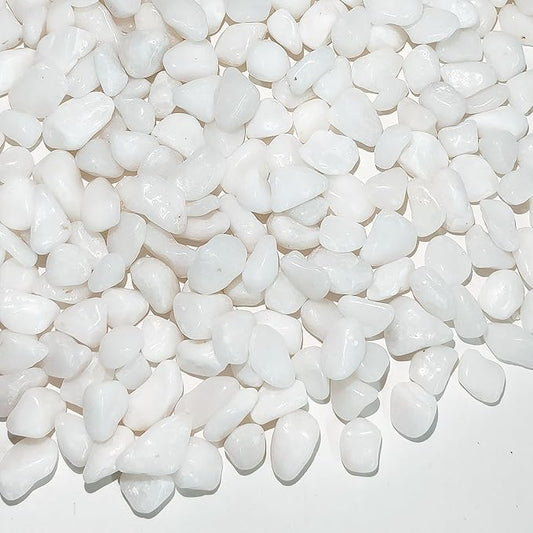 FANTIAN 2 Pounds White Pebbles for Indoor Plants, 3/8 Inch Polished White Rocks, Decorative River Rocks for Potted Plants Vase Cactus Bird Bath and Outdoor Garden Landscaping