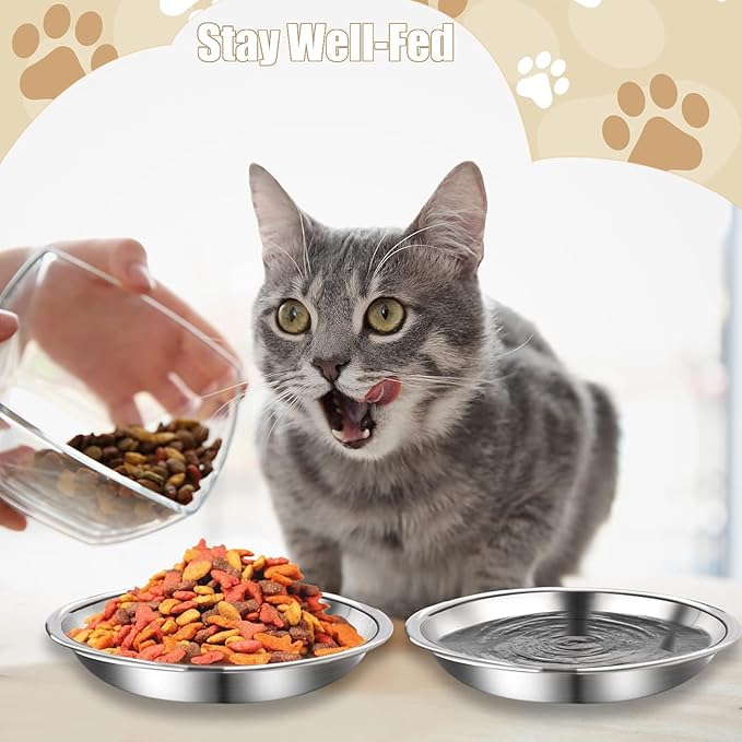 6 Pcs Stainless Steel Cat Bowls Shallow Wide Food Bowls for Cats Replacement Whisker Fatigue Relief for Small Dogs and Cats Indoors (Silver)
