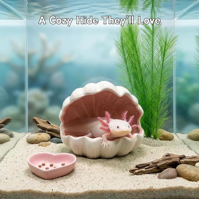 Axolotl Hide Ceramic Shell Shape Fish Tank Cave with Feeding Bowl | 3-Piece Aquarium Decor Kit with Silk Plant, Extra Large Habitat Shelter for Axolotls, Betta, Newts & Small Pet Frogs (Pink)