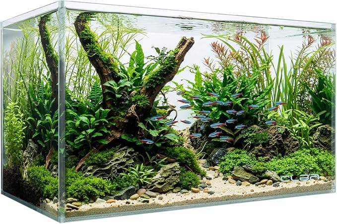 10 Gallon Glass Fish Tank, Nano Aquarium Fish Tank, Rimless Low Iron Aquarium for Betta/Turtle/Goldfish/Snails/Shrimp and Aquatic Planting