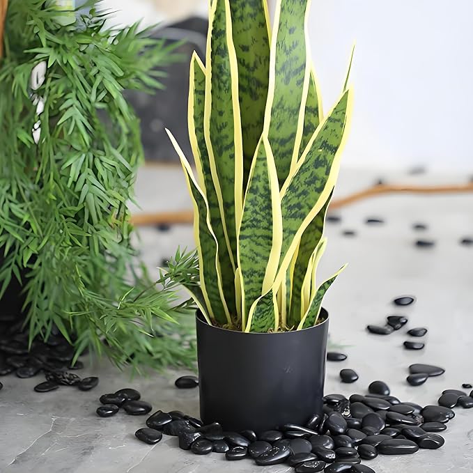 FANTIAN 5 lbs Pebbles for Indoor Plants. 3/8 inch Small Black Stones, Decorative Black River Rocks for Plant Outdoor, Vase, Landscaping and Garden