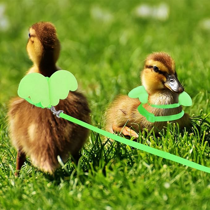 KAMA BRIDAL Duck Walking Harness and Leash Chicken Duck Outdoor Training Rope Adjustable Rope for Pet Poultry Hen Cock (XS, Green)