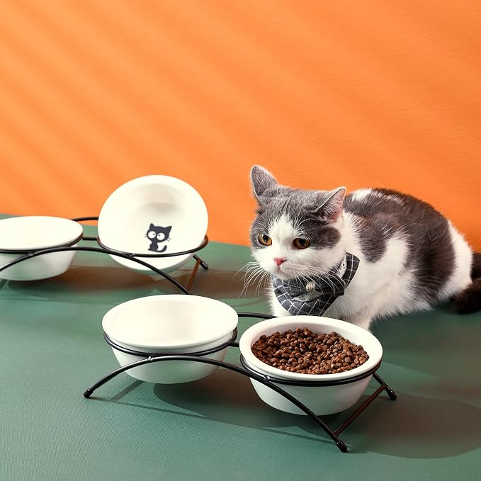 ZONEYILA Elevated Cat Bowls, Dog Bowl, Ceramic Raised Cat Food Water Bowl Set with Metal Stand for Indoor Cats Small Dog, Prevent Neck Pain,12 Ounces, Cute Dog Bone Pattern