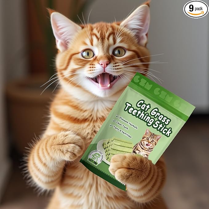 Cat Toys 6Pack Kitten Grass Treat Stick Catnip Toy with Silvervine for Indoor Kitten Toys Kitten Grass Sticks for Teeth Cleaning Cat Snack for Kitty Dental Care