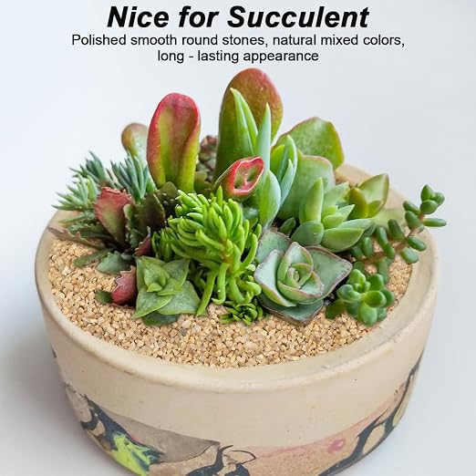Beige River Rocks, Landscaping Pebbles, Succulent & Cactus Gravel, 5 Pounds | Decorative Ornamental Stones, Gravel Filler For Flower Bed, Fish Tank, Vases, Plants, Home And Garden Decoration