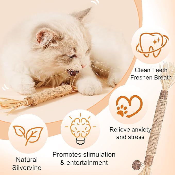 Natural Silvervine Dental Sticks, Natural Silvervine Sticks for Cats, Cleaning Dental, Scratch and Bite Resistant, Calm Cat Boring, for Indoor Kitty Interactive Kitten Chew Playthings (5Pcs)
