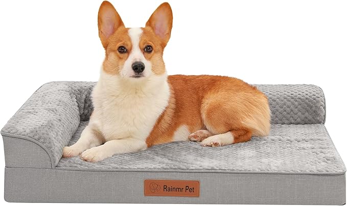 Rainmr Orthopedic Dog Bed Medium Size Dog, Memory Foam Dogs Bed for Medium Dogs, Washable Removable Cover, Nonskid Bottom, Waterproof, for Indoor, Outdoor, Crate ＆ Car Use, 35x23x6 Inches, Light Grey