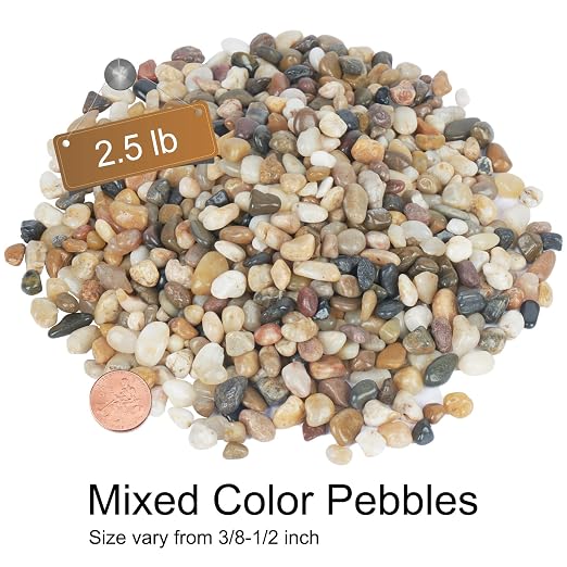 GASPRO 2.5 lb Decorative Pebbles for Plants, 3/8 Inch Mixed Color Rocks, Small Stones for Indoor Planters, Succulents & Vase Filler, Pea Gravel for Aquariums