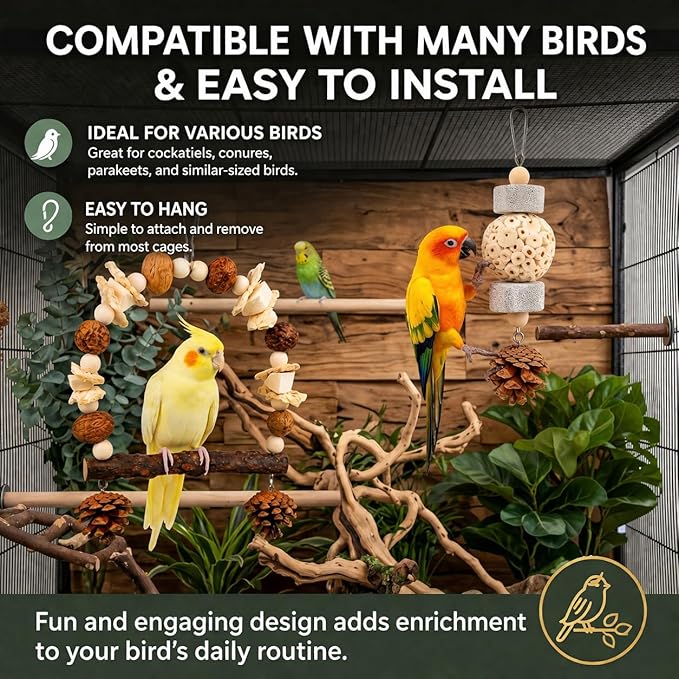 2 Pack Natural Bird Toys Set - Prickly Ash Wood Arch Swing with Walnuts & Cuttlebone - Sola Ball Shreddable Toy with Beak Grinding Pumice Stone, Cage Accessories for Cockatiel, Conure, Parakeets