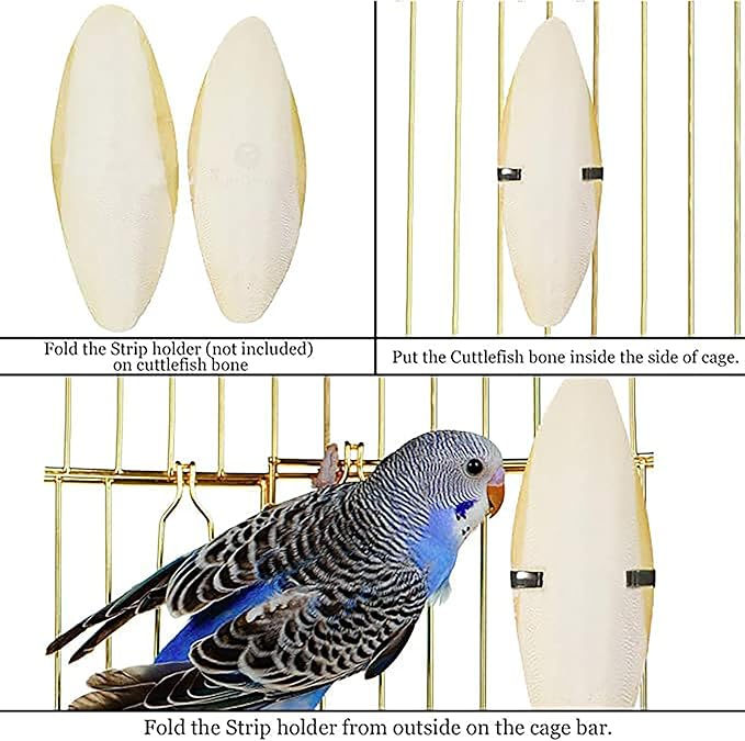 SunGrow Large Cuttlefish Bones for Cockatiels, Turtles, Shrimp, Dog Calcium Supplement, Cage Holder Included, 2 Pieces per Pack