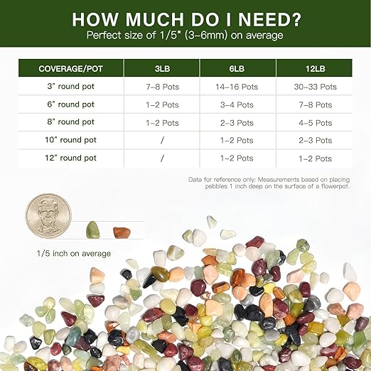 NUPICK 12 lbs Pebbles for Indoor Plants, 1/5 Inch Pea Gravel for Fish Tank, Polished Decorative Rocks for Succulent, Natural River Stones for Vases, Cactus, Landscaping, Bird Bath, Aquarium, Colorful