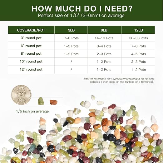 NUPICK 6 lbs Pebbles for Indoor Plants, 1/5 Inch Pea Gravel for Fish Tank | Polished Decorative Rocks for Succulent, Natural River Stones for Vases, Cactus, Landscaping, Bird Bath, Aquarium, Colorful