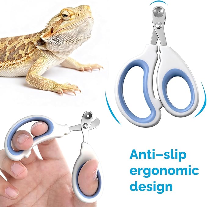 Small Animal Nail Clippers, Stainless Steel Bearded Dragon Nail Clippers, Cat Nail-Clipper, Professional Reptile Grooming Tool with Precise Angled Edge, Claw Trimmer for Birds, Cat, Dog Small Animals