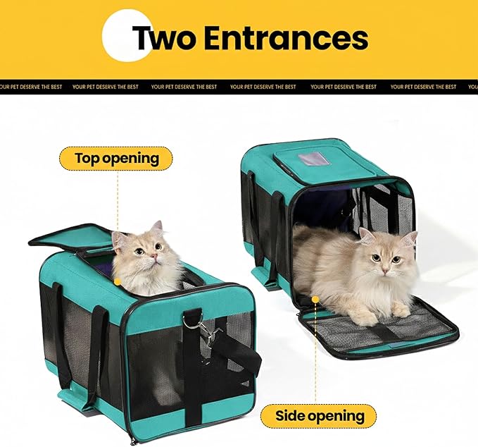 Conlun Cat Carrier Airline Approved, Soft-Sided Dog Carrier with Inner Safety Leash, Pet Transport Carrier for Small-Medium Cats Puppies up to 15 Lbs,Travel Kitten Carrier Bag -Turquoise,M