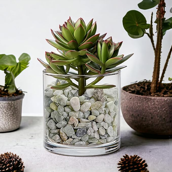 1.1 LB Natural Small Jade Gravels Mini River Rocks,Light Green Mix | Decorative Soil Cover Pebbles Stones for Succulent Plant,Planter Bonsai,Fairy Garden,Candle Home Decor