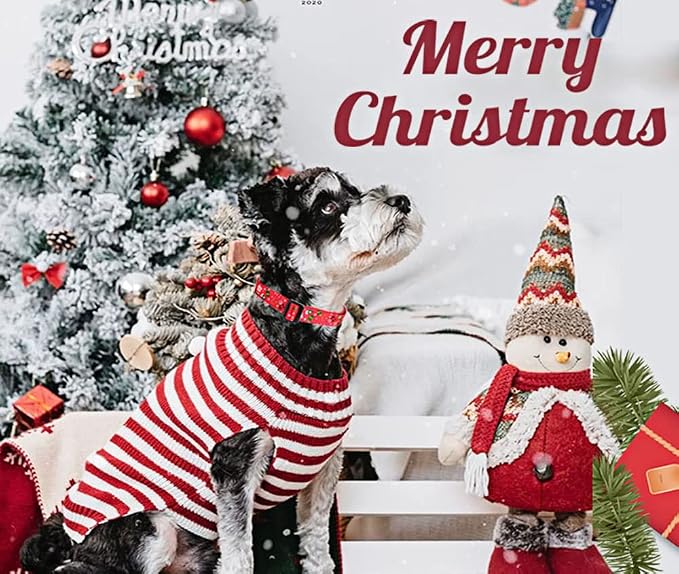 Mihqy Christmas Dog Collar - Premium Adjustable Dog Collar for Small Medium Large Dogs (Christmas,M)