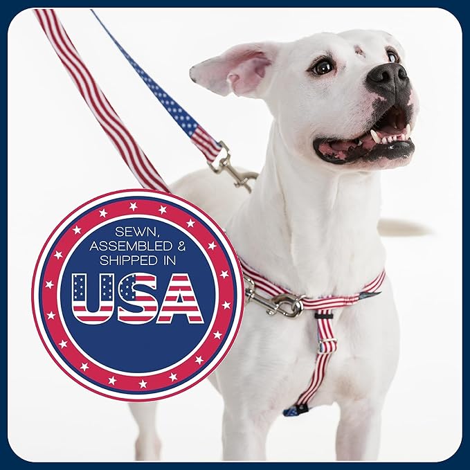 2 Hounds Design Freedom No Pull Dog Harness, Adjustable Harness, Easy Walking & Comfortable Control, Fits Small, Medium & Large Dogs, Solid Colors, Made in USA, 5/8" SM, Navy
