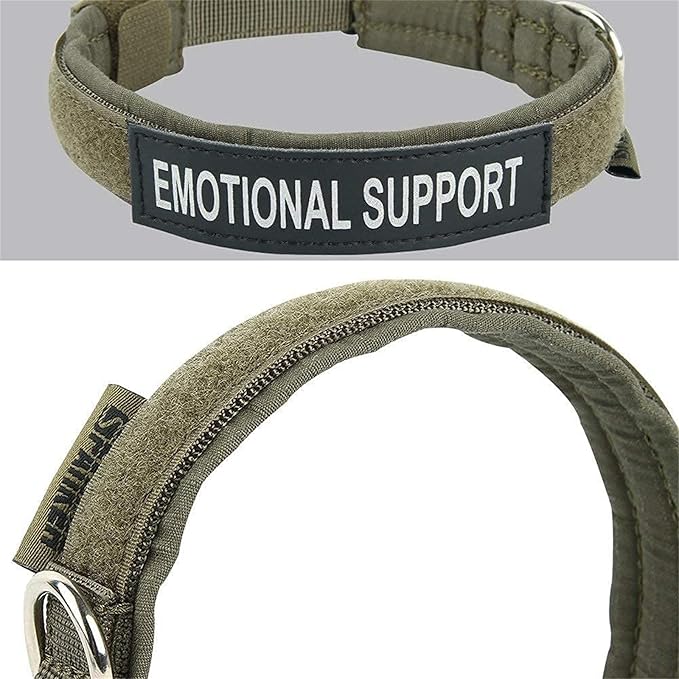 EXCELLENT ELITE SPANKER Nylon Puppy Dog Collar Adjustable Soft Padded Collar Heavy Duty Quick-Release Buckle Lightweight No-Choke for Small Medium Dogs(RGN,S)