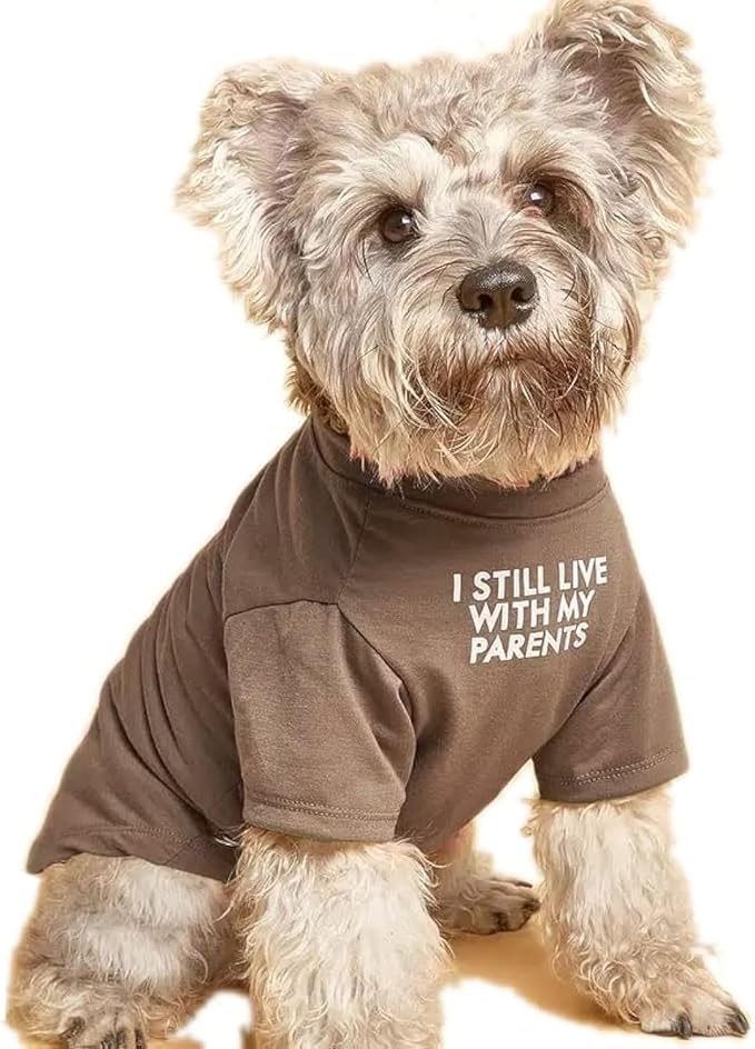 Cute Dog Clothes,Dog T Shirt for Medium Dogs, Small Dogs Girl Boy,Puppy.Breathable Soft Dog Costume Pet Dogs Cats,Pet Pullover Jumper,Cat Clothes (S-(4~8lb), Chest~14", Khaki)
