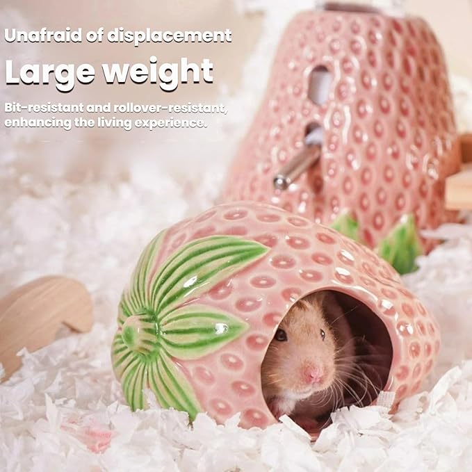 Strawberry Ceramic Hamster Hideout, Summer Cool Cave for Small Pets, Chew Resistant & Easy Clean Hamster House, Decorative Hideaway for Syrian Dwarf Hamsters, Mice (Big Strawberry - Red)