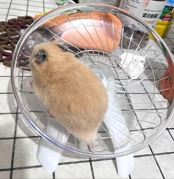 Funny Hermit Crab Running Wheel Climb Toy, Hamster Reptiles Running Flying Wheel Saucer, Cute Running Wheel for Guinea Pig Small Pet Animals Tree Frog Hamster Lizard Salamander Hermit Crab (White)