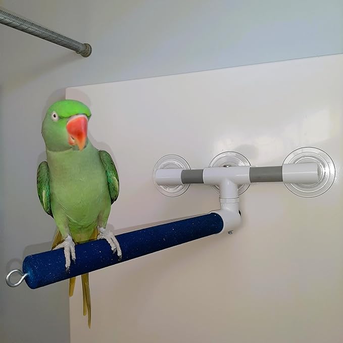 Polly's Sandy Window and Shower Bird Perch, Large