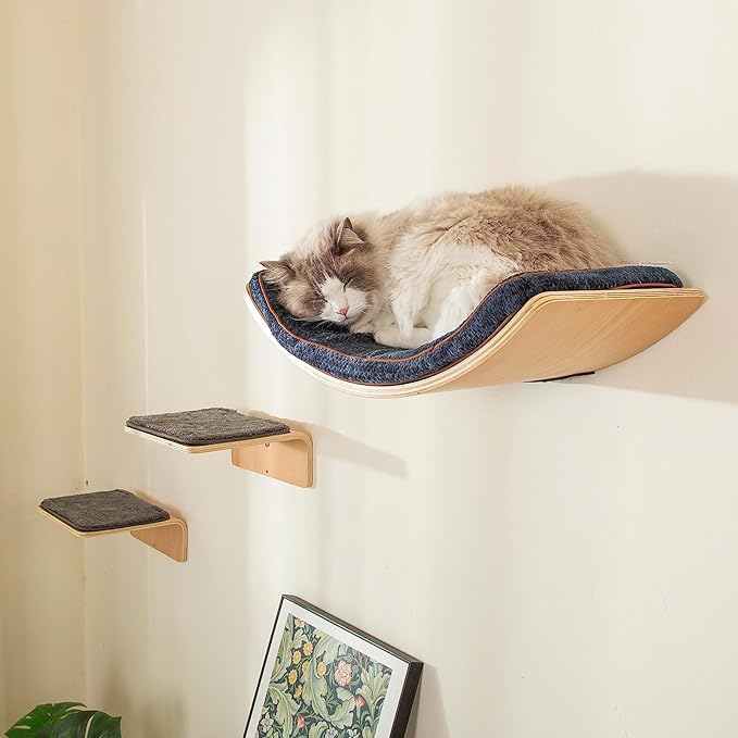 LIORCE Cat Wall Shelf with Two Steps - Curved Cat Shelves and Perches for Wall (Large Size) - Wall Mounted Cats Furniture for Sleeping, Playing, Climbing, and Lounging