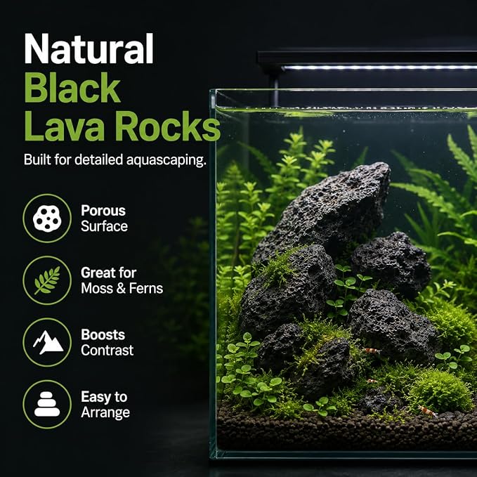 2–3.1 Inches Natural Black Lava Rocks, 4PCS Small Aquarium Rocks for Aquascaping, Fish Tank Decor, Nano Tanks, Terrariums & Reptile Enclosures (Small 2–3.1 in)