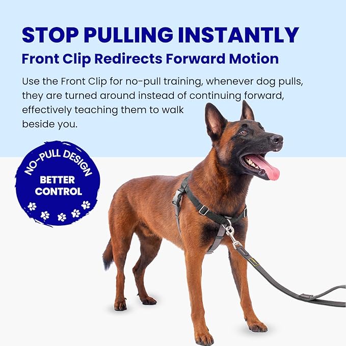 Freedom No Pull Dog Harness for Large Dogs, Easy Walker, Front Clip, Anti Pull with Two Stainless D-Rings, Comfortable, Sewn-in Instructions Tags for Easy Use (Black, XXL)