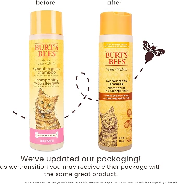 BURT'S BEES FOR PETS Hypoallergenic Cat Shampoo with Shea Butter and Honey, Gentle Formula for Indoor Cats with Dry or Sensitive Skin, pH Balanced, Fragrance-Free, 10 Fl Oz - 2 Pack