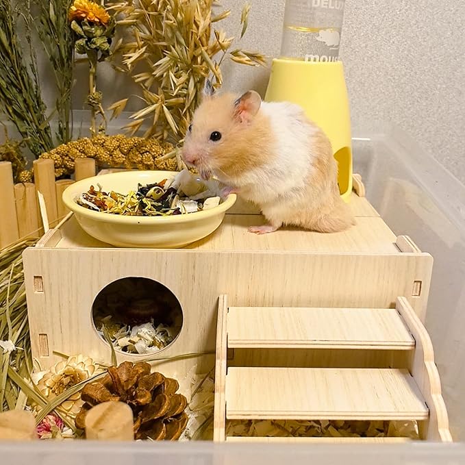 Wooden Hamster Hideout Tunnel Multi-Chamber House Hiding Hut Maze Platform Habitats Exploring Toys for Gerbil Rat Mice