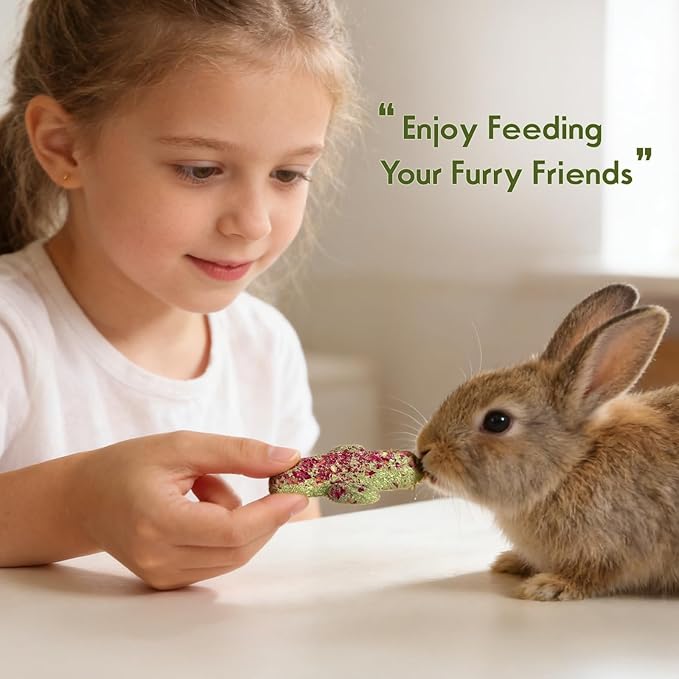 Abizoo Rabbit Chew Toys Natural Timothy Hay Oat Bunny Treats Snack Bunny Chew Sticks 9 Pcs Compressed Cactus Bunnies Enrichment Toys for Rabbit Guinea Pig Hamster Chinchilla Gerbil Dental Care