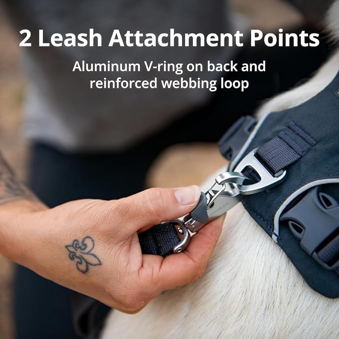 Ruffwear, Front Range Dog Harness, Reflective Soft Padded Harness with Dual Leash Clips, Adjustable and Lightweight Fit for Training or Walking for All Dogs, Moonlight Mountains, Large/X-Large