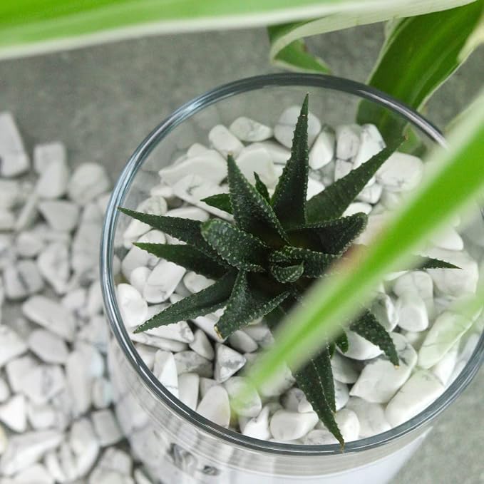 Howlite Aquarium Gravel Rocks Natural Tumbled Healing Crystal Chips Bulk Gemstones Crushed Stones for Fountain Vase Filler Planters Decorative Fish Tank Potted Reiki Energy Balancing 0.45lb