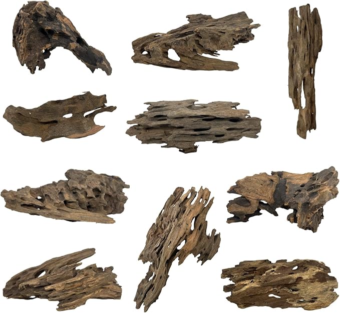 10 PCS Natural Honeycomb Wood 2-4", Porous Aquarium Driftwood | Cholla Wood Shrimp Shelter Breeding Cave, Shrimp Dragon Wood for Fish Tank, Aquascaping, Reptile, Terrarium Decor