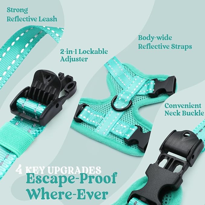 rabbitgoo Cat Harness and Leash, Escape Proof Vest with 3 Adjustable Buckles, Soft Comfortable Kitten Harness, Easy to Wear, Reflective for Safe Outdoor Walking, Small, Green