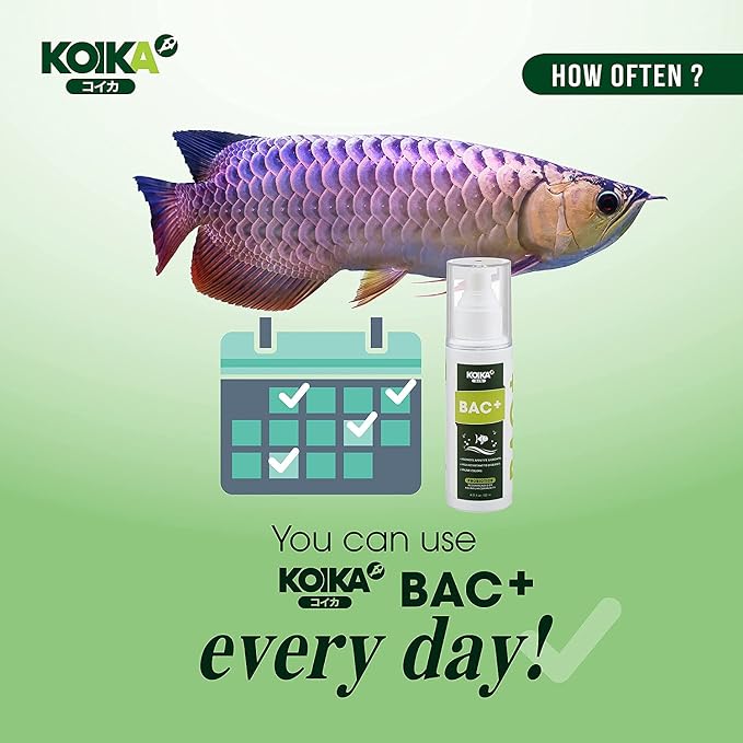 KOIKA BAC+ Aquarium Probiotics for Fish & Shrimp – High-Density Beneficial Bacteria, Pleasant Smell, Supports Disease Resistance & Immunity Boosting (New Formula, 105ml)