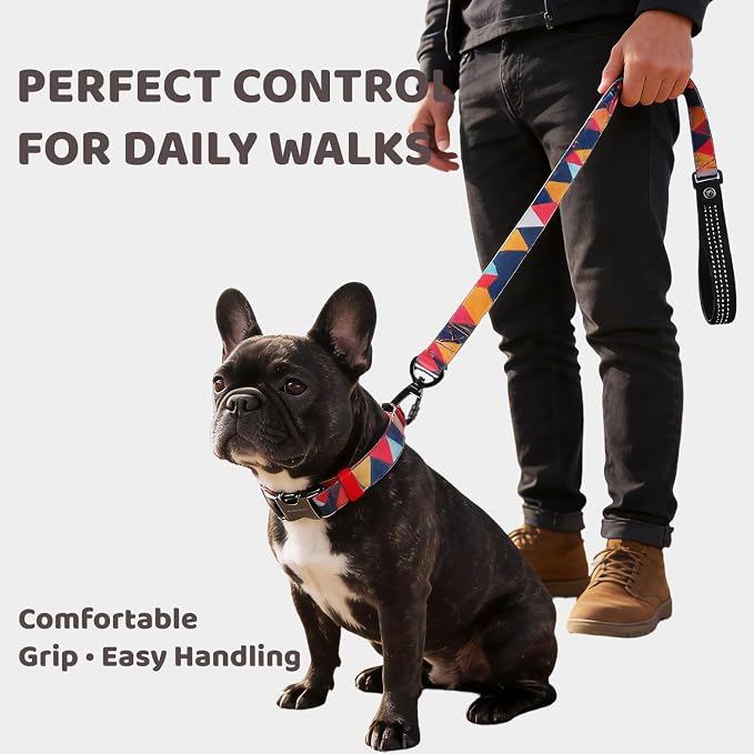 EVERKING Dog Collar & Leash Set for Everyday Walking | Matching adjustable collar and leash set with reflective handle and heavy-duty hardware for comfortable everyday dog walks.