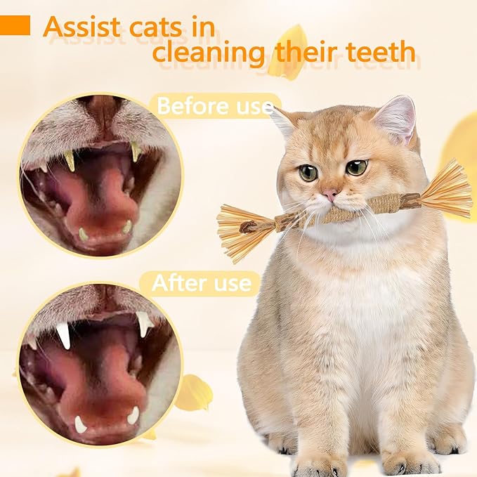 6 Pack Silvervine Sticks for Cats Chewers, Natural Cat Chew Stick, Interactive Kitten Chew Playthings, Silver Vine Chew Sticks for Indoor Kitty Nip Teeth Cleaning Dental Care Biting (6)
