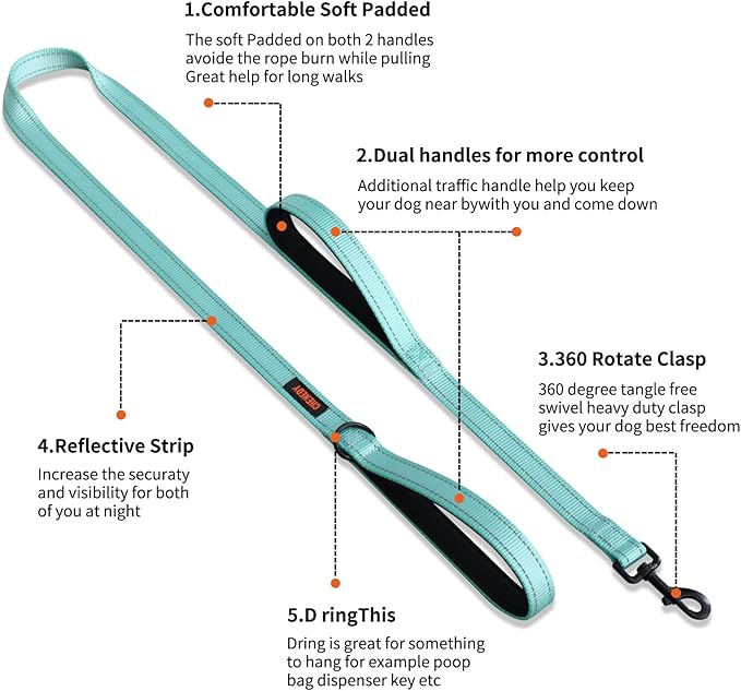 Heavy Duty Dog Leash With Double Handle - Reflective Training Lead for Medium to Large Breeds (5FT, Lake Blue)