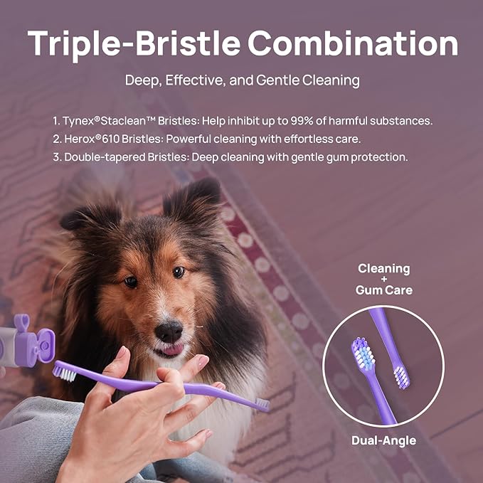 HICC PET Toothbrush for Dogs & Large Cats, Vet-Recommended Ergonomic Pet Toothbrush for Easy Teeth Cleaning, Gentle on Gums, Cat & Dog Dental Care, Improves Oral Hygiene. Toothpaste Not Included