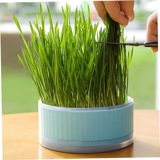 BESPORTBLE 2pcs Hydroponic Cat Grass Planter Soilless Household Planting Box with Design Convenient Growing Kit for Indoor Use Blue Pink