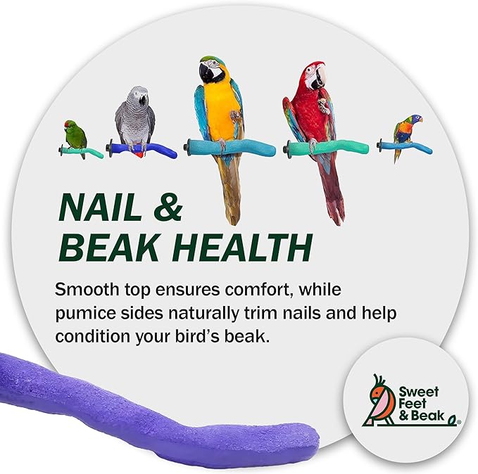 Sweet Feet & Beak Safety Pumice Bird Perch, X-Small 1/2" X 6", Lightweight Grinding Bird Perches for Cage - Bird Nail Trimming Perch for Healthy Beak & Feet - Multi-Size & Color Parrot Stand - Green