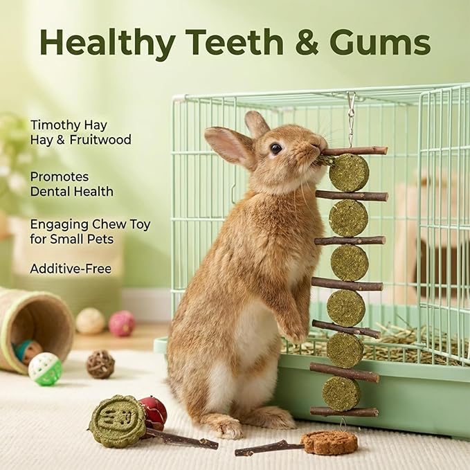 MAQIHAN Rabbit Chew Toys for Teeth -Bunny Treats for Dental Grinding Natural Apple Wood Sticks Timothy Hay Cake Lollipop Enrichment for Rabbit Cage Chinchilla Toys Guinea Pig Gerbil Rat Cage 4PCS