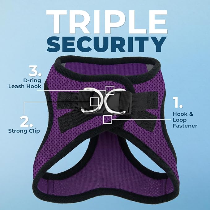 Best Pet Supplies Voyager Step-in Air All Weather Mesh Harness and Reflective Dog 5ft Leash Combo with Neoprene Handle, for Small, Medium and Large Breed Puppies - Purple/Black Trim, Medium